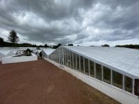 Inselrundfahrt Tag 2 - Ponta Delgada - Ananas Plantage 