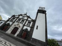 Inselrundfahrt Tag 2 - Ponta Delgada - Ananas Plantage 