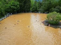 Inselrundfahrt Sao Miguel - Terra Nostra Park