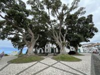 Rundgang in Ribeira Grande 