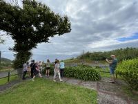 Inselrundfahrt auf Faial - Bonta Lespala Maka 