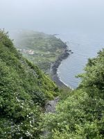 Inselrundfahrt auf Faial - Aussichtspunkt Ribeira das Capras