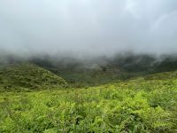 Inselrundfahrt auf Faial -  Kraterrand Mirrador de Caldera