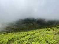 Inselrundfahrt auf Faial -  Kraterrand Mirrador de Caldera