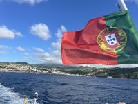 Fährfahrt nach Pico