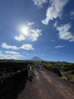 Spaziergang durch die Weinfelder von Pico