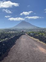 Spaziergang durch die Weinfelder von Pico
