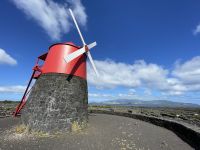 Spaziergang durch die Weinfelder von Pico