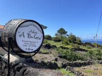 Weinverkostung auf Pico