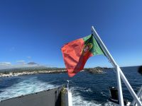 Rückfahrt von Pico nach Faial