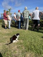 Inselrundfahrt Terceira - Monte Brasil 