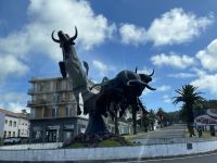 Inselrundfahrt Terceira 