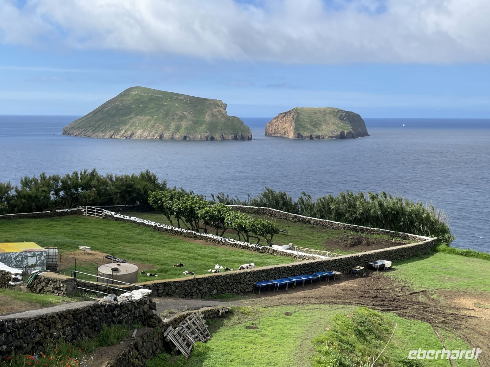 Inselrundfahrt Terceira 