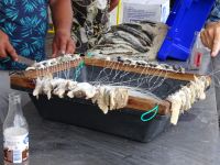 ... mit vorbereiteten Fangködern...