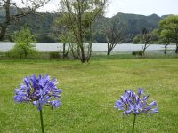 .. Ufer des blauen Sees