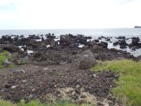 Sao Miguel, Küste bei Sao Roque