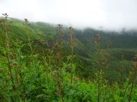 .. Blick in die Caldeira...