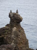 Pico, Formation Cacchorro