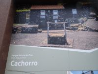 Pico, historische Ortsansicht mit Gezeitenbrunnen...