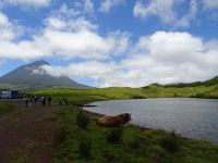 Pico, Blick über Lagoa do Capitao zum Berg Pico