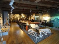 ... und einem Besuch im Walfängermuseum...