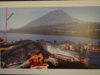 ...blutige Tradition, heute verboten...