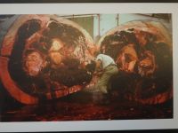 ...blutige Tradition von Lajes auf Pico...