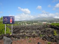 Pico, Madalena, Weinanbaugebiet mit Blick auf den Berg Pico...