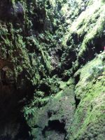 ... mit prächtiger Vegetation im Schlund...