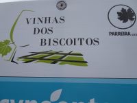 Terceira, das Weinanbaugebiet in Biscoitos kündigt sich an...