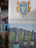 Terceira, Biscotios, im Weinkeller (Adega)...