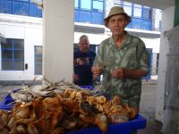 Terceira, Markt in Angra mit unserem Reiseleiter Thomas...