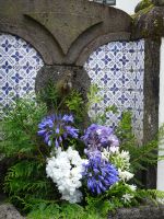 Furnas, Blumenpracht vor Kirche...