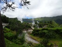 Calderas das Furnas...