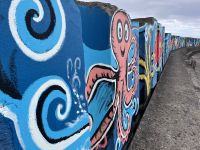 Gemalte Bilder im Hafen von Vila Franca Do Campo, São Miguel, Azoren, Portugal