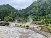 Heiße Quellen, Lagoa das Furnas, São Miguel, Azoren, Portugal