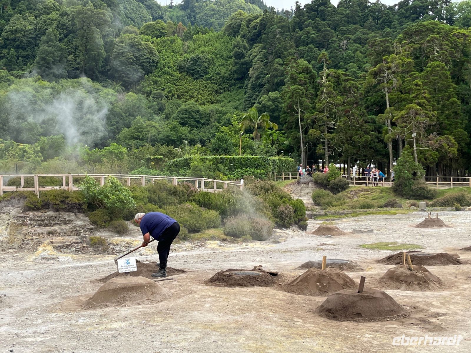 Zubereitung des Eintopfs Cozido des Furnas in den heißen Quellen, Lagoa das Furnas, São Miguel, Azoren, Portugal