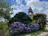 Blick auf die Kirche Igreja de Nossa Senhora da Alegria mit Hortensien, Furnas, São Miguel, Azoren, Portugal