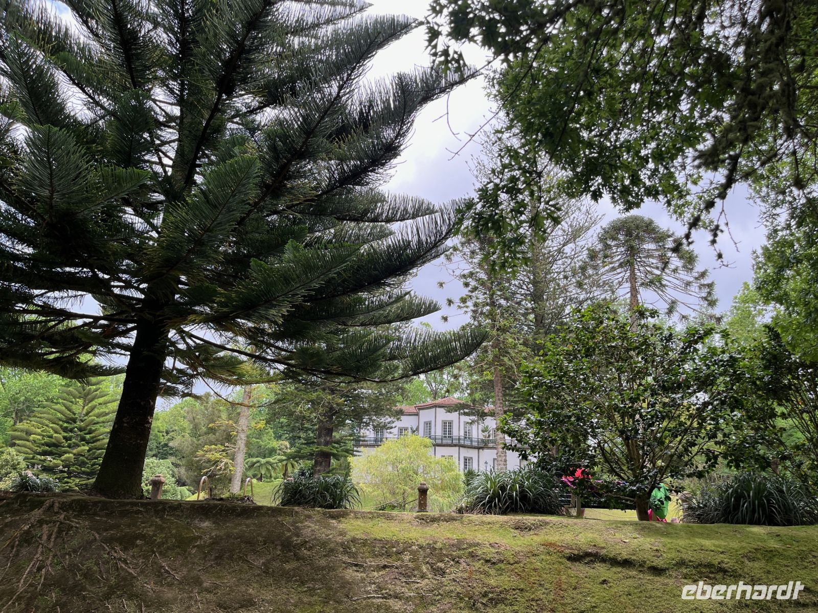 Park Terra Nostra, Furnas, São Miguel, Azoren, Portugal