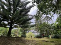 Park Terra Nostra, Furnas, São Miguel, Azoren, Portugal