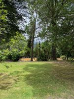Park Terra Nostra, Furnas, São Miguel, Azoren, Portugal