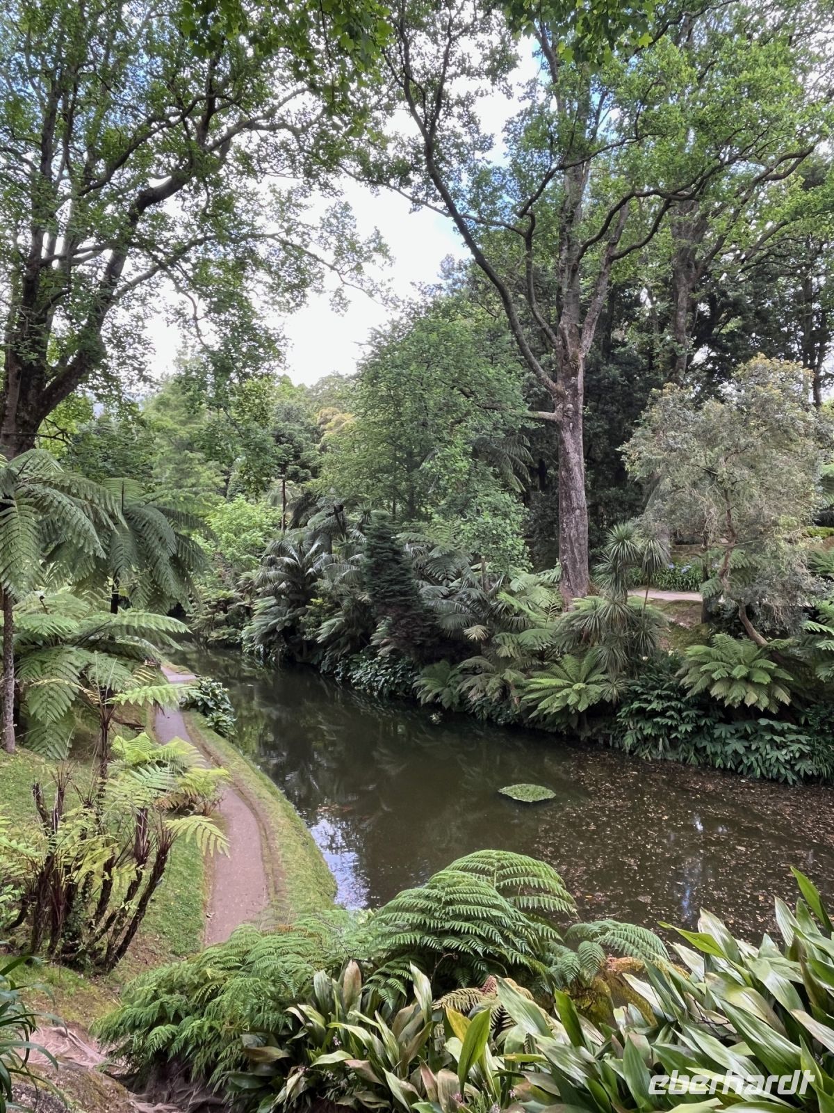 Park Terra Nostra, Furnas, São Miguel, Azoren, Portugal