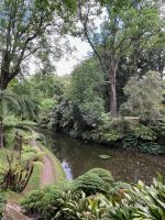 Park Terra Nostra, Furnas, São Miguel, Azoren, Portugal