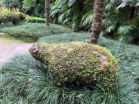 Figur im Park Terra Nostra, Furnas, São Miguel, Azoren, Portugal