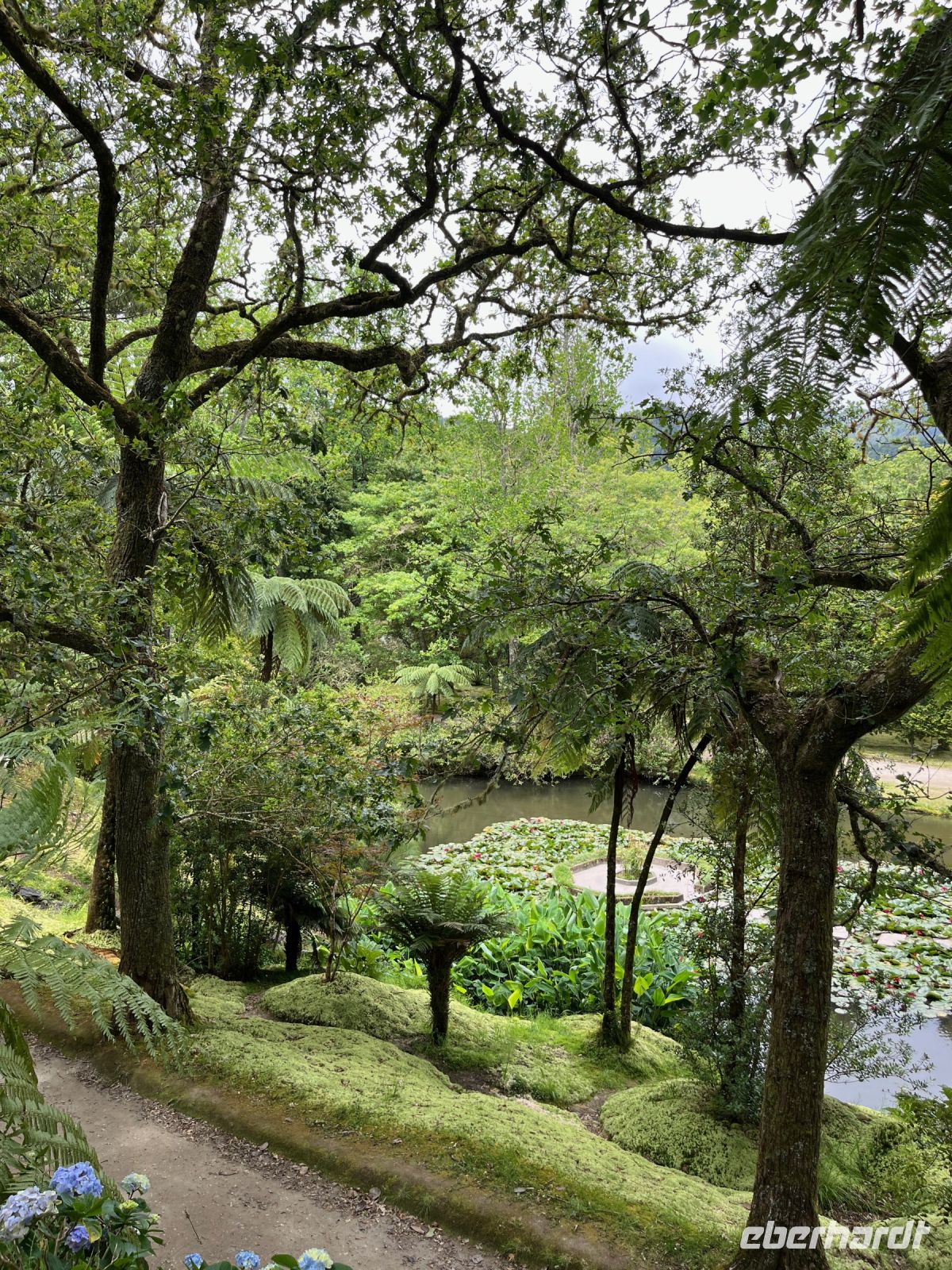 Park Terra Nostra, Furnas, São Miguel, Azoren, Portugal