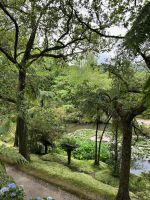 Park Terra Nostra, Furnas, São Miguel, Azoren, Portugal