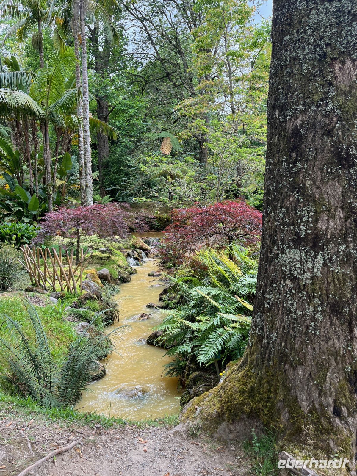 Park Terra Nostra, Furnas, São Miguel, Azoren, Portugal
