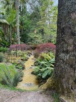 Park Terra Nostra, Furnas, São Miguel, Azoren, Portugal