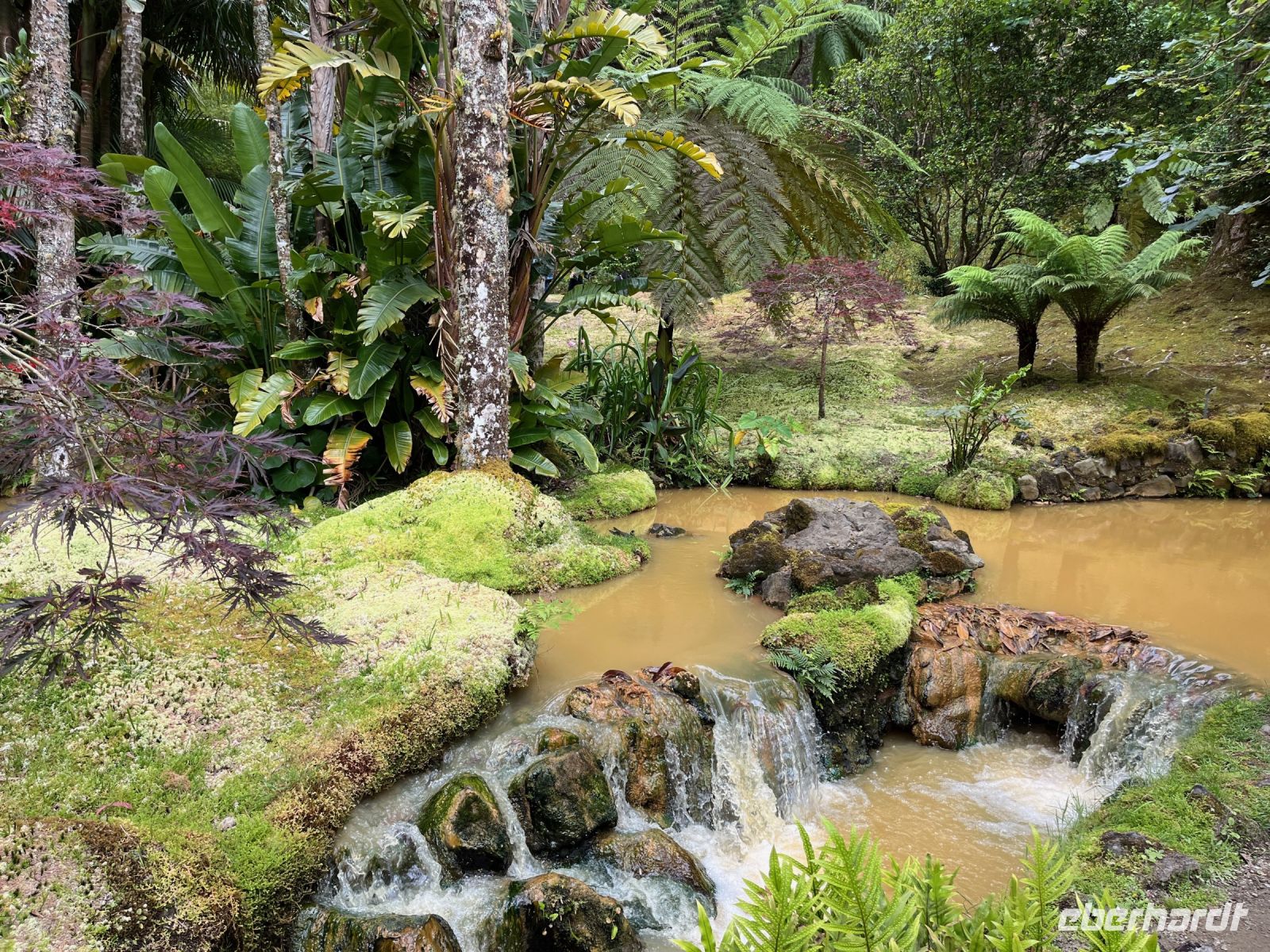 Park Terra Nostra, Furnas, São Miguel, Azoren, Portugal