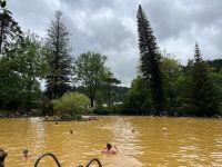 Thermalbecken im Park Terra Nostra, Furnas, São Miguel, Azoren, Portugal